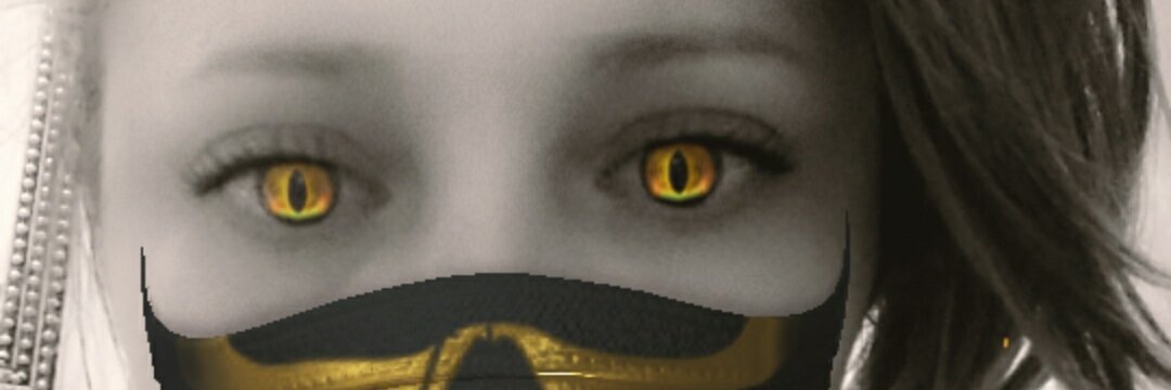 collmichellm's profile banner image