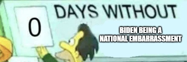 Digster333 Constitutionalist banner