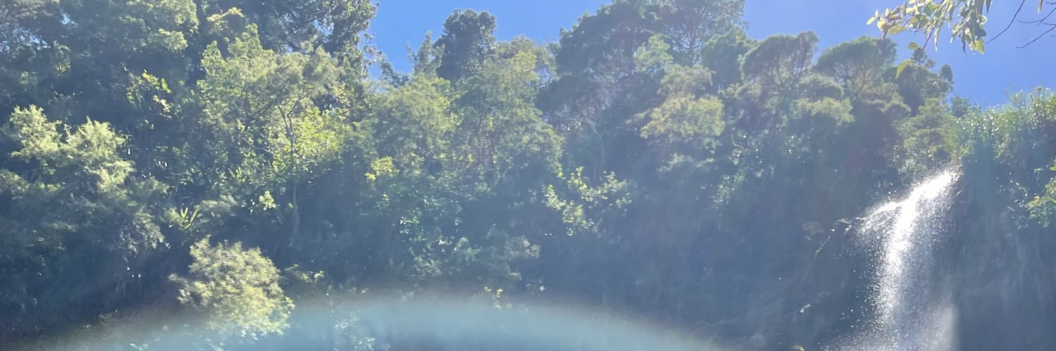 slimbokk.eth banner