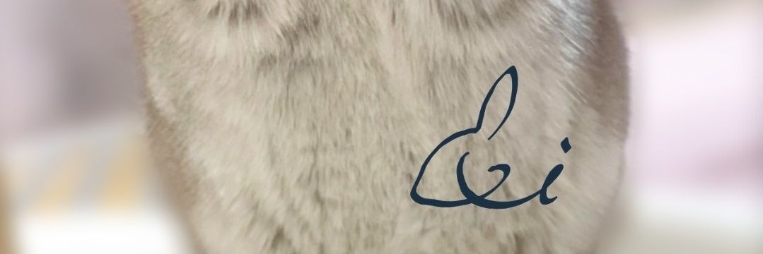 chillaitem's profile banner image