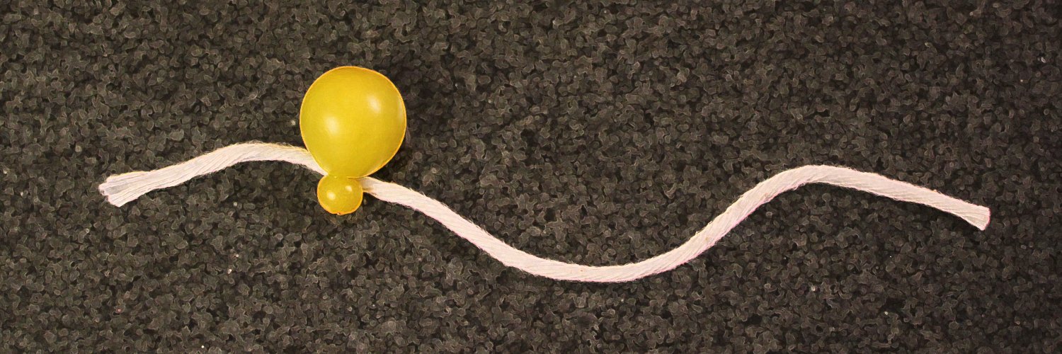 Gene-Wei Li Lab banner