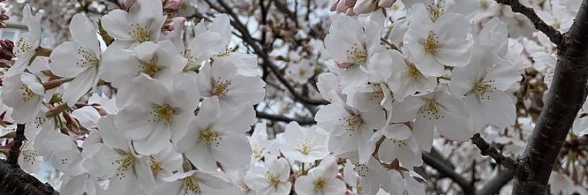 dikom222's profile banner image