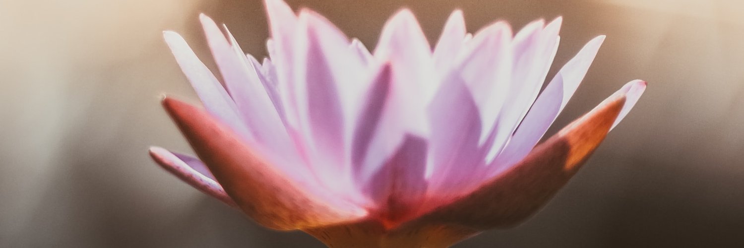 chantgregorien's profile banner image