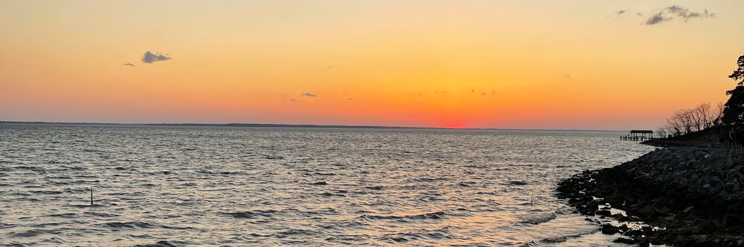 Candace_Parks's profile banner image