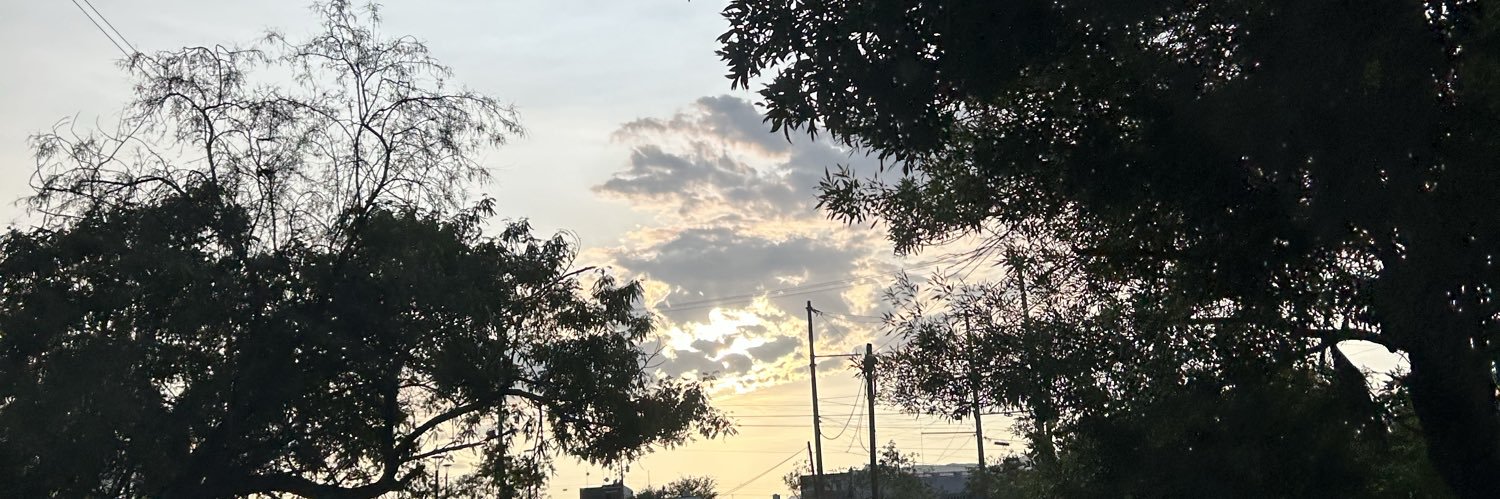 dvnanis's profile banner image
