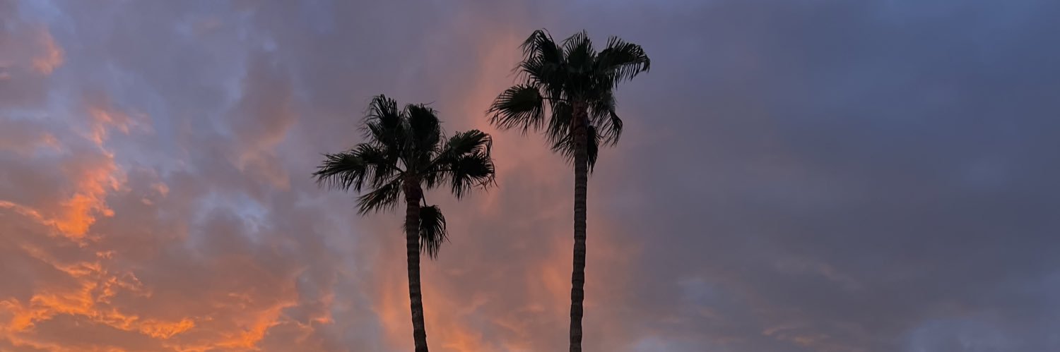 zachleonvisuals's profile banner image