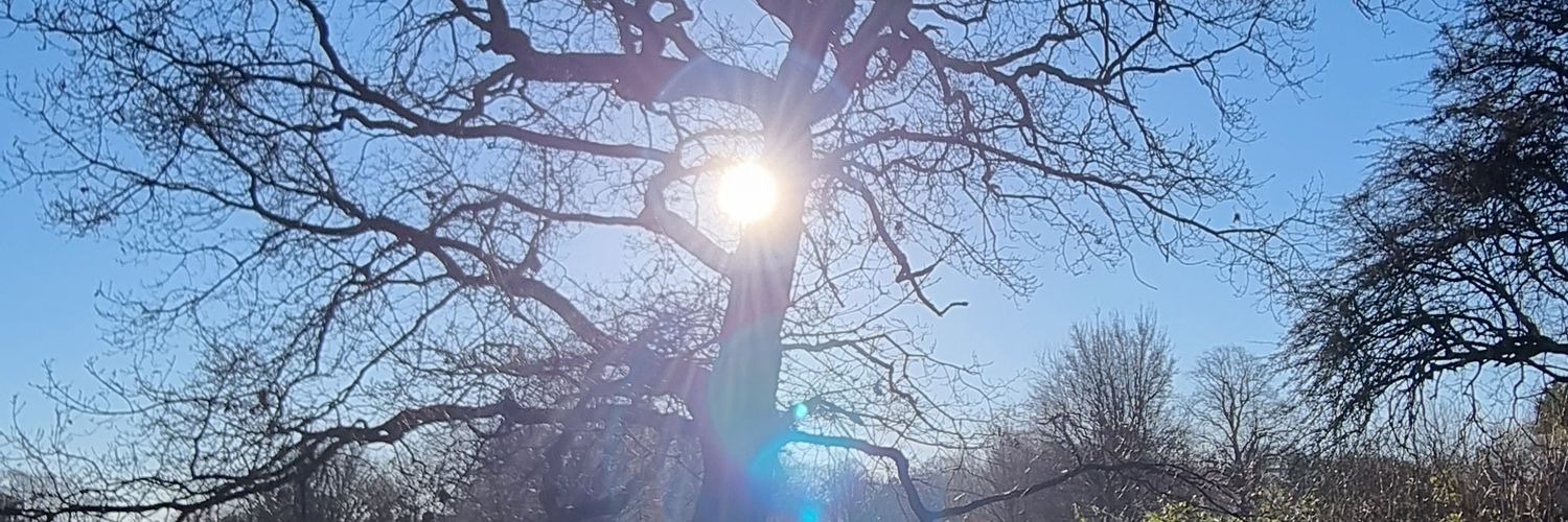 lisajane1984's profile banner image
