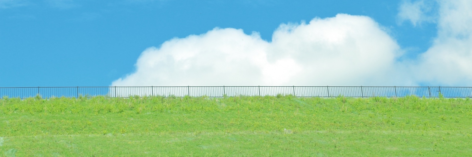ピヨっぴぴより banner