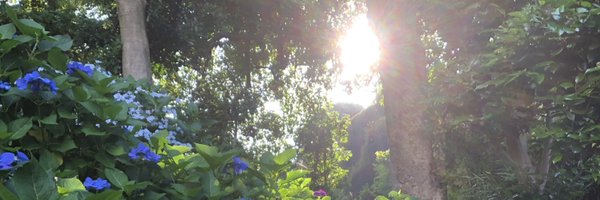 hozuki_ssk Profile Banner