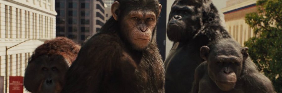 theyknowluuu's profile banner image