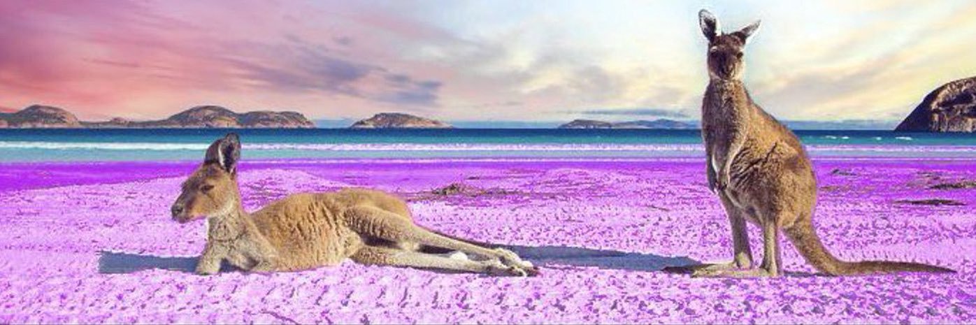Saïd🍬🦘 banner
