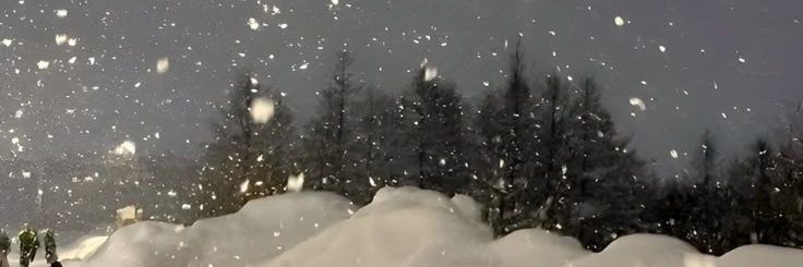 Noir | CEO OF WARIMA banner