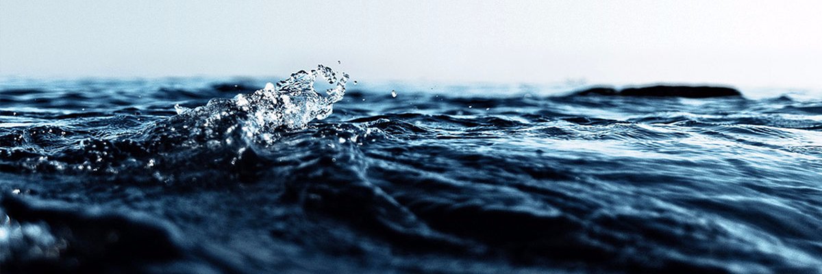 せん みねこ banner