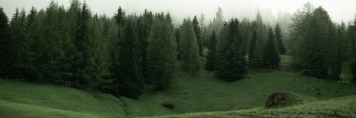 KayleeBlair18's profile banner image