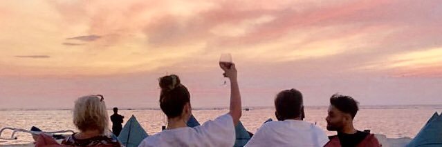 Megan THEE donkey banner