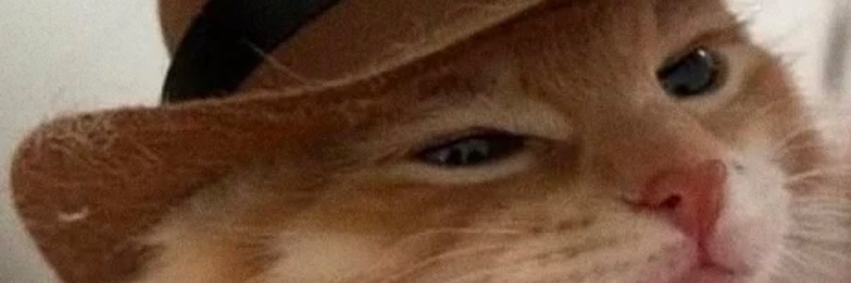 Lonelyoonion's profile banner image