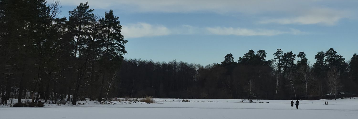 піца з ананасами banner