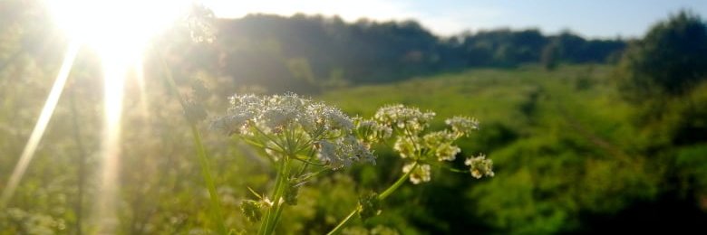The Benfield Valley Project banner
