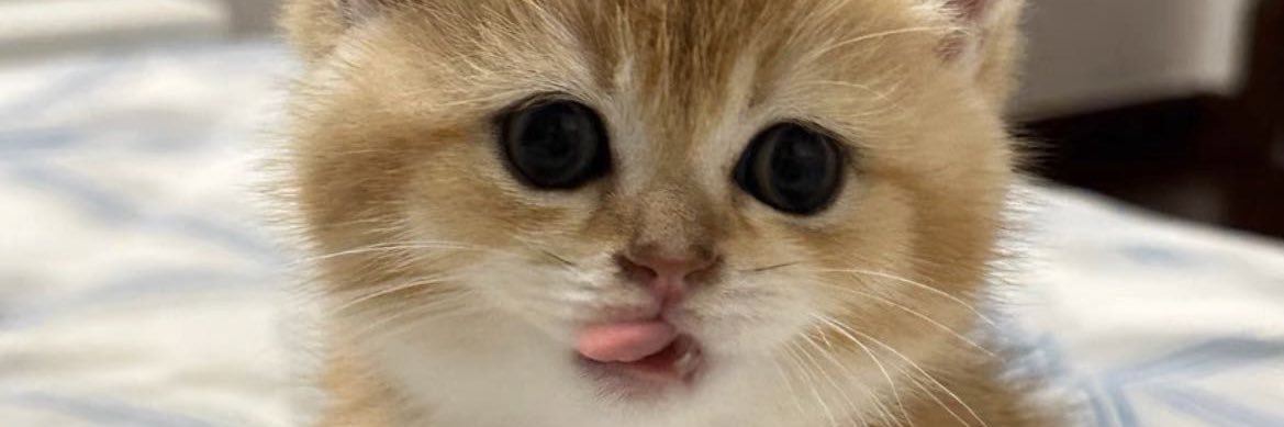 DearLeslie1's profile banner image