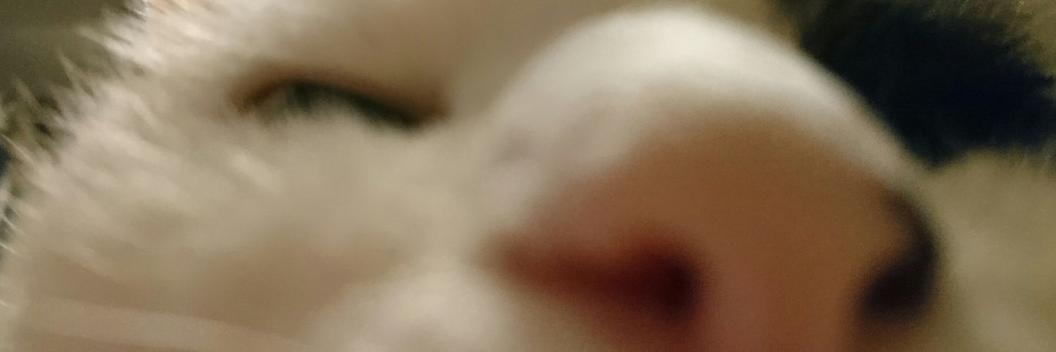 ohata_maiko's profile banner image