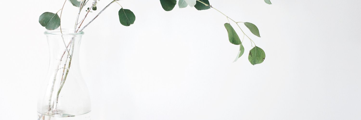 zecondhandx's profile banner image