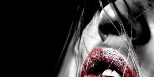 Štefan Staruch 🚛 🇨🇿🇸🇰 banner