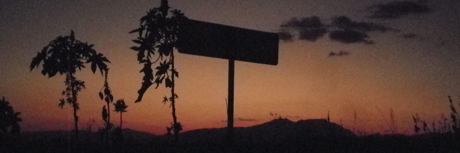 Sébas-Allsimple-Nik banner