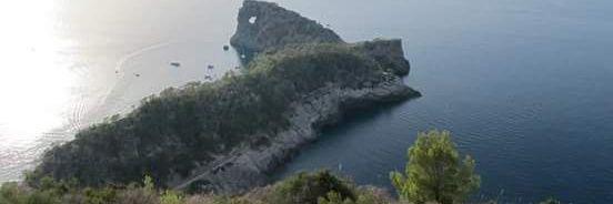 PazTerre's profile banner image