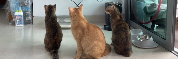 0xDIRMV Profile Banner