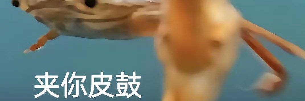 盐汽水小熊 banner