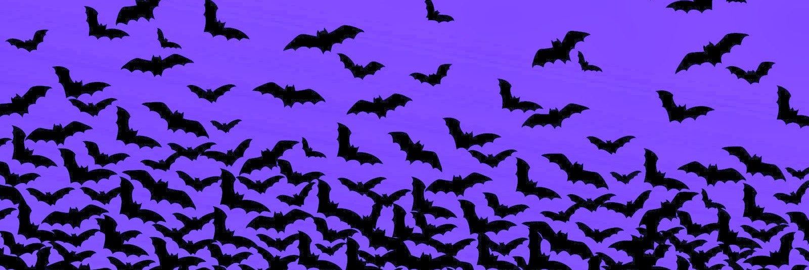 inadesile's profile banner image
