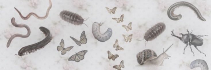 ⛧☾༺♰༻☽⛧ banner