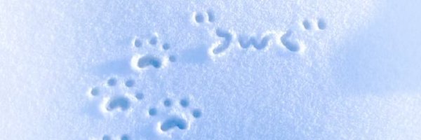 _VectorFish227 Profile Banner