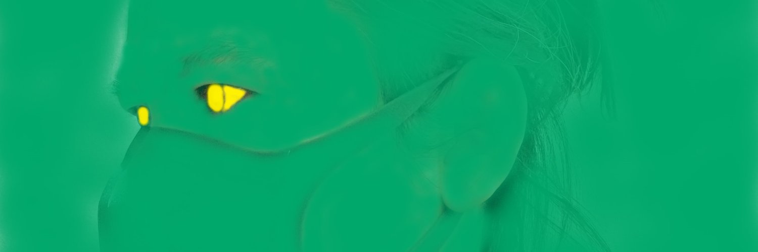 Ninja Corona banner