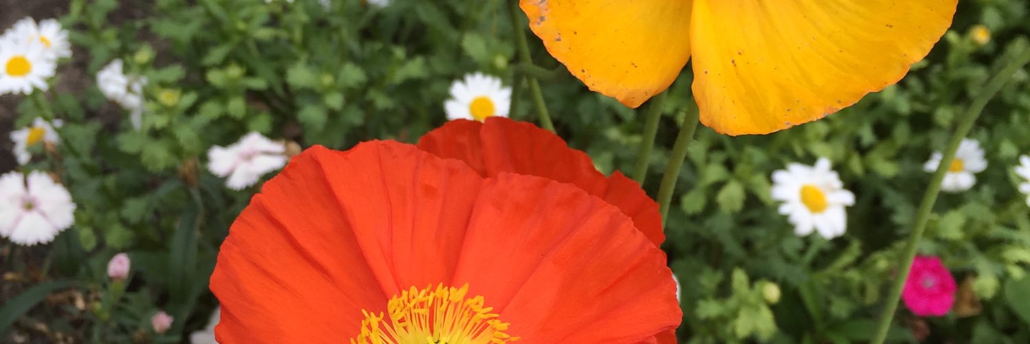 Wendy Gabriel banner