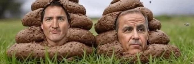 Unacceptable Prole banner