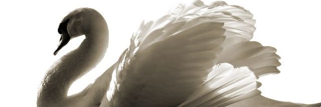 esila banner