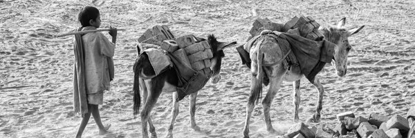CBDP_Images's profile banner image