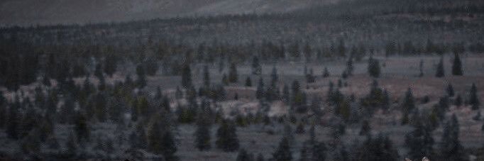 𝐙𝐞𝐧𝐨𝐲 𝐁𝐞𝐧𝐞𝐯𝐞𝐧𝐭𝐨 banner