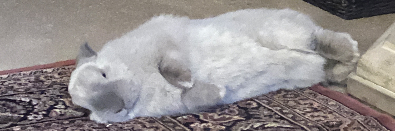 Darrell Rowbottom banner