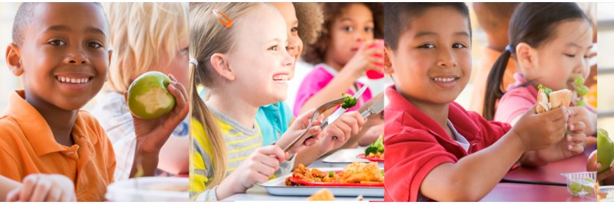 Toronto Educational Opportunity Fund (TEOF) banner