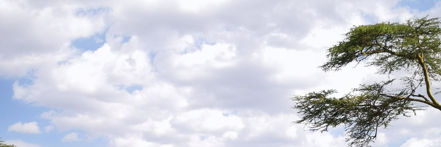 monaborhani's profile banner image