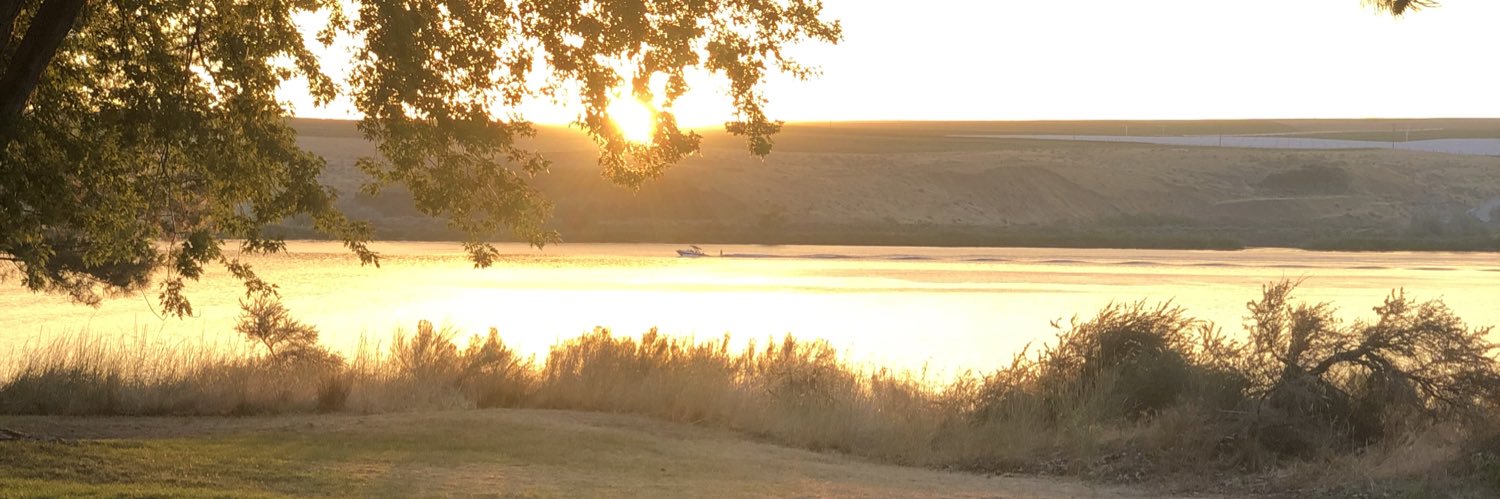 nft_cliff1's profile banner image