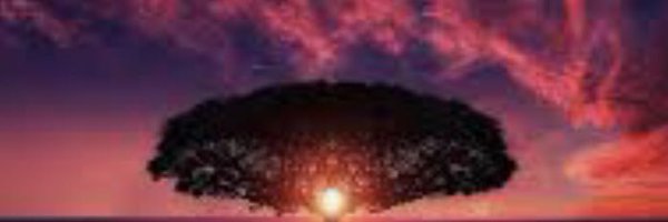 TheTrustedJL Profile Banner