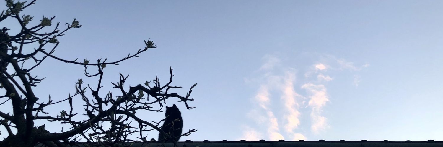 aqxWWIII's banner