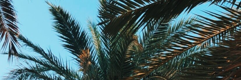 zainradster's profile banner image