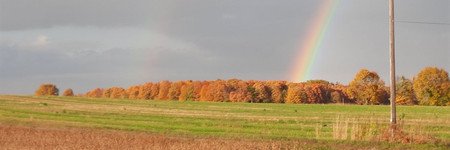 Stompy-Trudeau's Steel Shod Trampler 🏳️‍🌈 🦄 🐎 banner