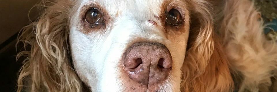 yugobb's profile banner image
