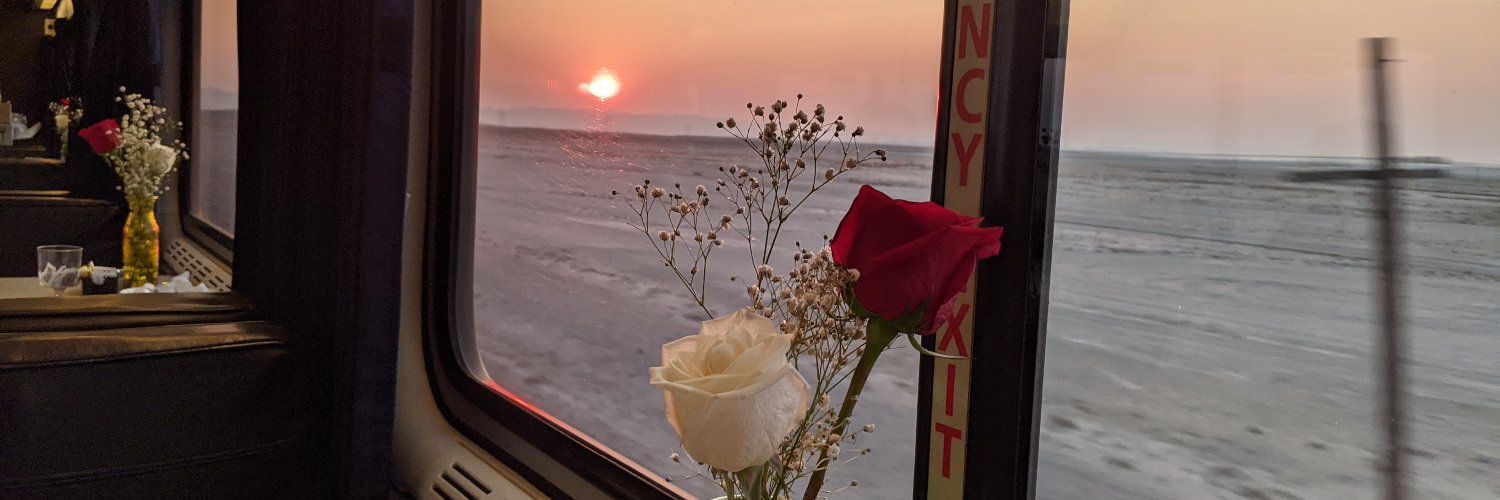 bellarose's profile banner image