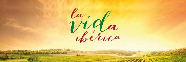 sara peñas lledó banner